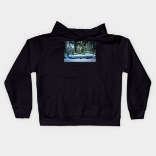 Victim Of High Winds Kids Hoodie